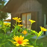 Domek alpejski Merikotka - A Cozy Wooden Cottage, Slovenia