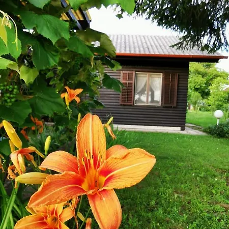 Chalet Merikotka - A Cozy Wooden Cottage, Slovenia Braslovce