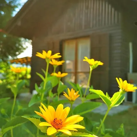 Chalet Merikotka - A Cozy Wooden Cottage, Slovenia