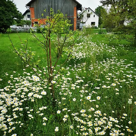 Merikotka - A Cozy Wooden Cottage, Slovenia