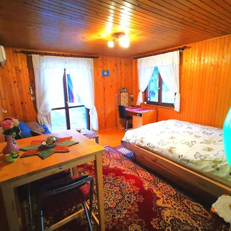Merikotka - A Cozy Wooden Cottage, Slovenia Chalet Braslovce