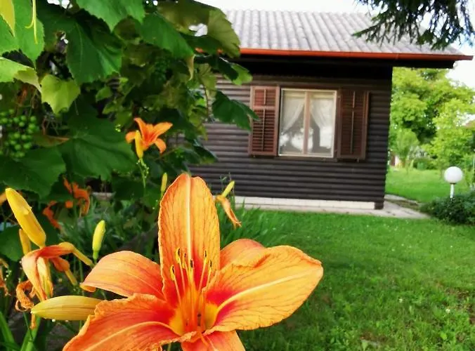 شاليه Merikotka - A Cozy Wooden Cottage, Slovenia Braslovce