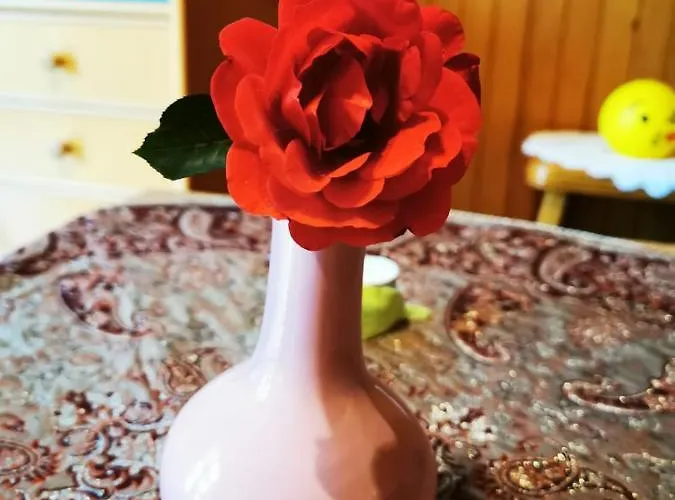 Merikotka - A Cozy Wooden Cottage, Slovenia *