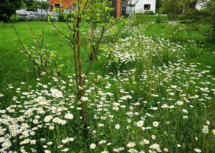 Merikotka - A Cozy Wooden Cottage, Slovenia