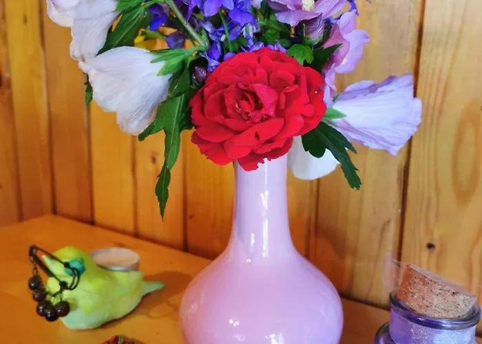 Merikotka - A Cozy Wooden Cottage, Slovenia